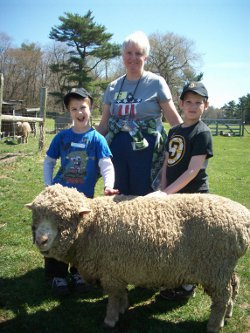 Kids meeting a sheep at a farm vacation piogram