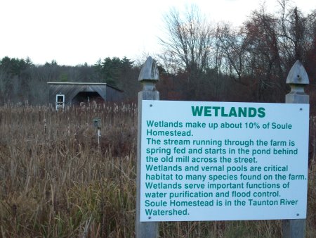 Nature Trail wetlands sign